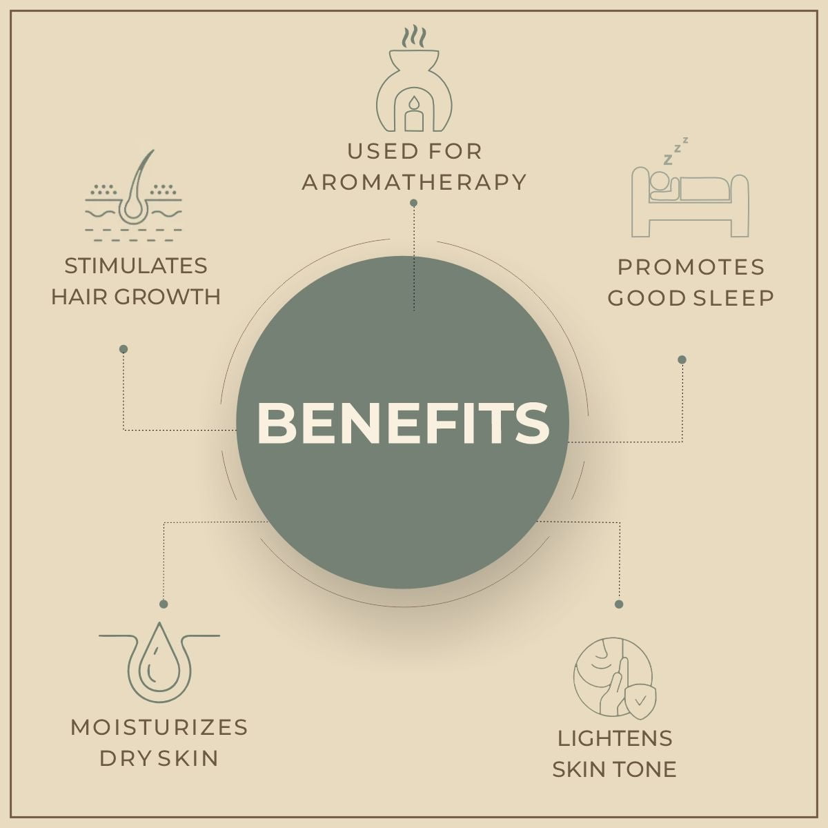 Salvia Natural Essential Oils Lily Essential Oil Salvia Natural Essential Oils Lily Essential Oil